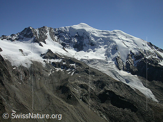 Foto: Weissmies und Triftgletscher von NW (Gipfel Jegihorn)

.