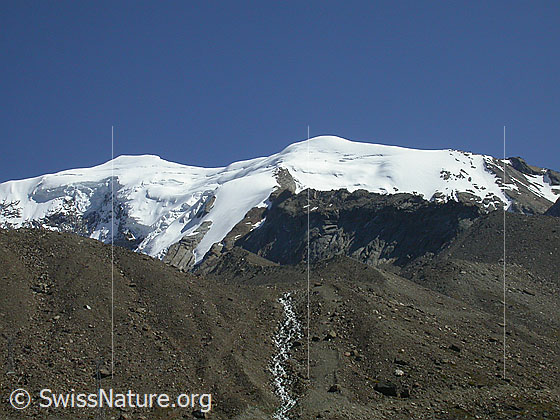 Foto: Weissmies von WNW (Kreuzboden). Rechts der obere Teil des Mälliggletschers.
