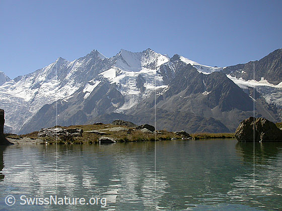 Foto: Mischabel von NE (Kreuzboden)
Täschhorn, Dom, Lenzspitze, Nadelhorn, Stecknadelhorn und Hohberghorn. Vorgelagert das Ulrichshorn.