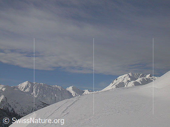 Foto: Frisch verschneite Landschaft mit Oberblatthorn, Saflischpass und Bättlihorn von NE.
