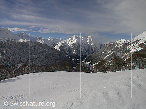 Foto: Frisch verschneite Landschaft mit Hillehorn, Rothorn, Oberblatthorn, Bättlihorn, Binntal und Breithorn von ENE.
