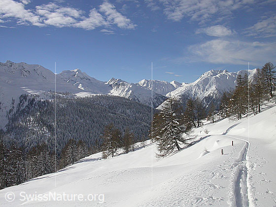 Foto: Frisch verschneite Landschaft mit Hillehorn, Rothorn, Oberblatthorn und Bättlihorn von NE (Handschbiel)