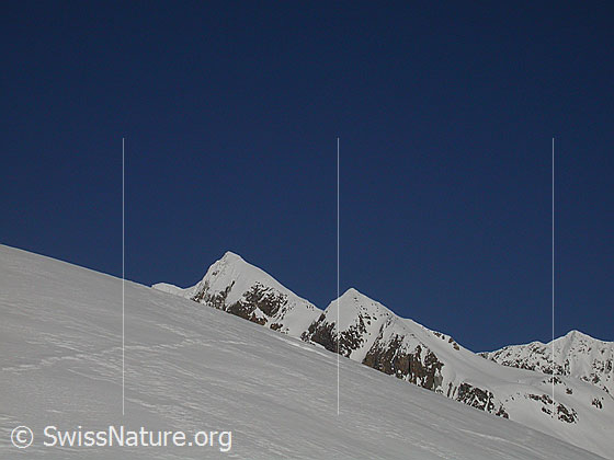 Foto: Turbhorn vonSSW (Wyssi) Im Vordergrund eine verwehte Tierspur.