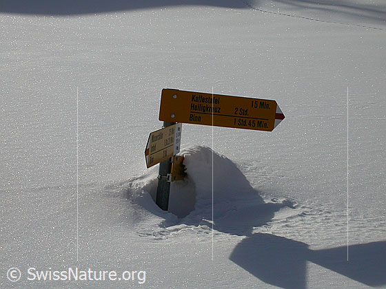 Foto: Eingeschneiter Wegweiser bei Dri Stafle.