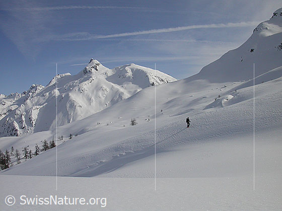 Foto: Skitourenfahrerin im Aufstieg in unberührter Landschaft oberhalb Hockboden. Im Hintergrund Schinhorn.