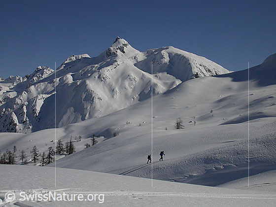 Foto: 2 Skitourenfahrer im Aufstieg. Im Hintergund das Schinhorn.