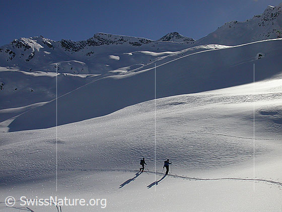Foto: 2 Skitourenfahrer in grossartiger Umgebung (Hockbode). Im Hintergund sind das Stockhorn und der Gipfel des Schwarzhorn sichtbar.