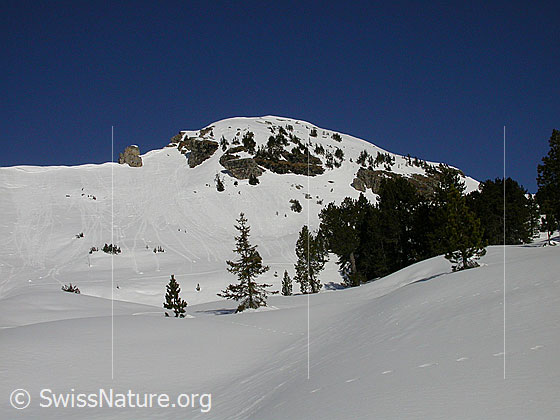 Foto: Im Aufstieg zum Hohgant West. Trogenhorn von S.