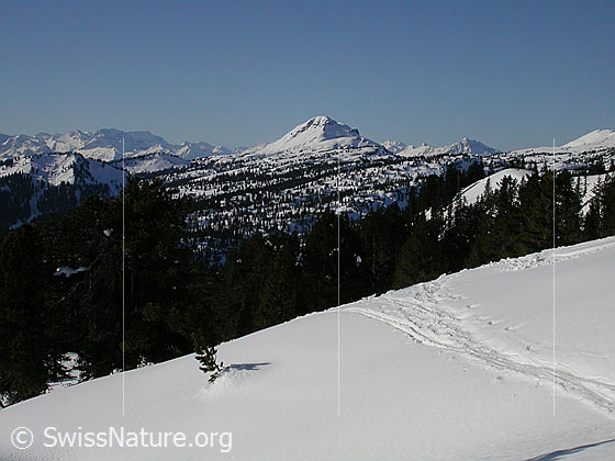 Foto: Im Aufstieg zum Hohgant West. Blick Richtung SW über das Seefeld Richtung Gemmenalphorn.