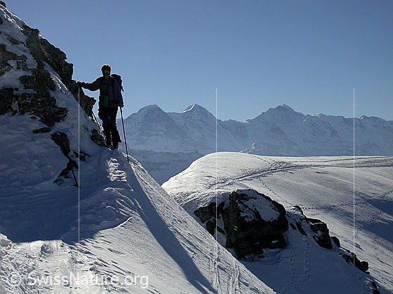 Foto: Im Aufstieg zum Hohgant West. Skitourenfahrerin beim Passieren der etwas ausgesetzten Stelle vor dem Gipfel. Im Hintergund: Eiger, Mönch und Jungfrau.