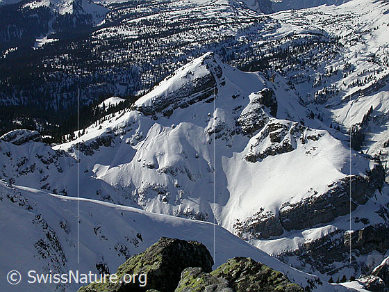 Foto: Gipfel Hohgant West: Blick auf das Trogenhorn (SW).