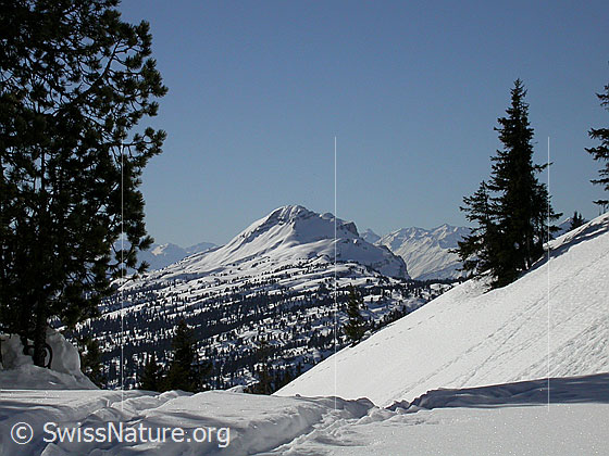 Foto: Abfahrt vom Hohgant West, oberhalb Trogenalp: Blick zum Gemmenalphorn.