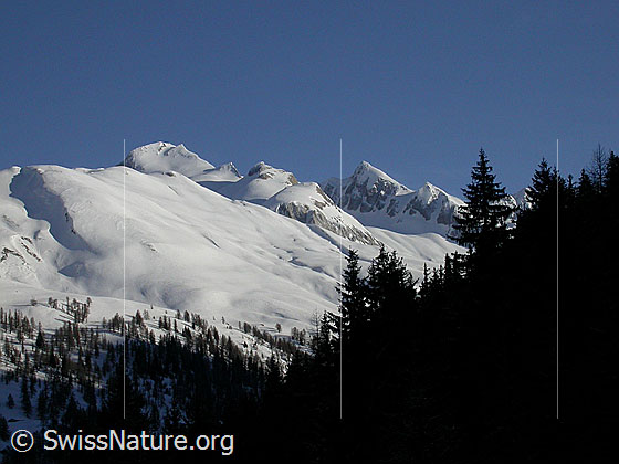 Foto: Im Auftstieg zum Mässersee: Blick Richtung NE. Gut zu sehen sind Holzerspitz, Ober Rappehorn und Turbhorn.