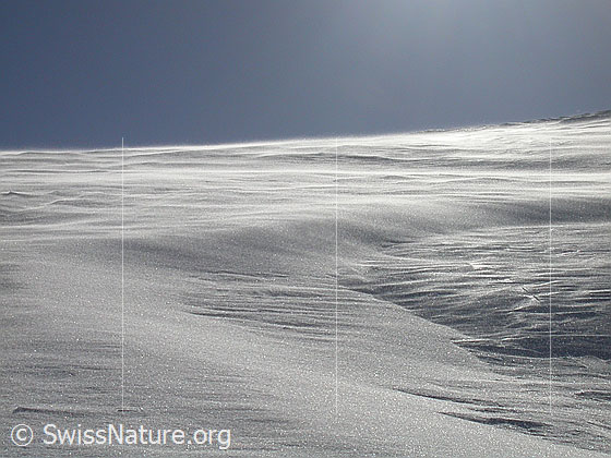 Foto: Schneeverfrachtung am Gipfel des Gandhorn.