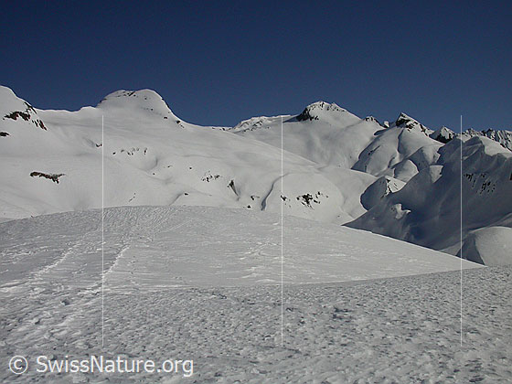 Foto: Blick vom Gipfel des Gandhorn in den hinteren Teil des Feldbachtals und die umliegenden Gipfel: Holzjihorn, Ober rappehorn, Turbhorn, Holzerspitz.