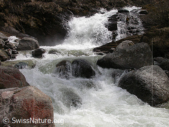 Foto: Mässerbach während Schneeschmelze.