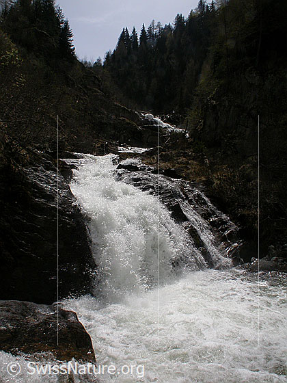Foto: Wasserfall im Mässerbach während Schneeschmelze.