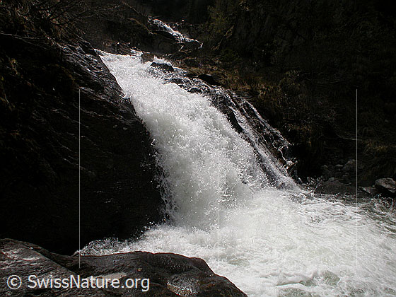 Foto: Wasserfall im Mässerbach während Schneeschmelze.
