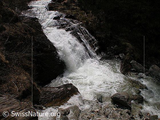 Foto: Wasserfall im Mässerbach während Schneeschmelze.