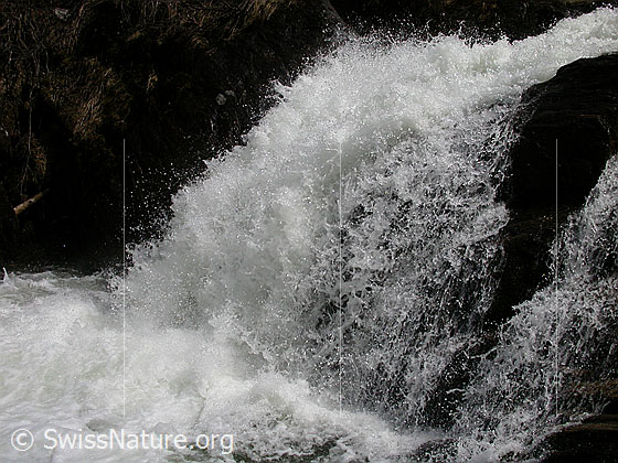 Foto: Wasserfall im Mässerbach während Schneeschmelze.