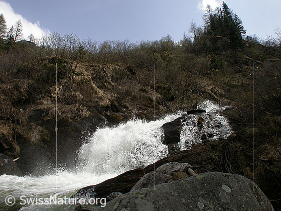 Foto: Wasserfall im Mässerbach während Schneeschmelze.