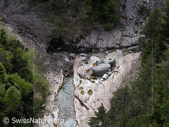Foto: Blick in die Twingischlucht. Zu sehen sind einige grosse, abgeschliffene Steine, die Binna und einige Baumstämme.