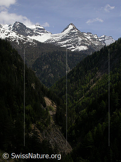 Foto: Blick durch die Twingischlucht auf Scherbadung und Wannihorn.