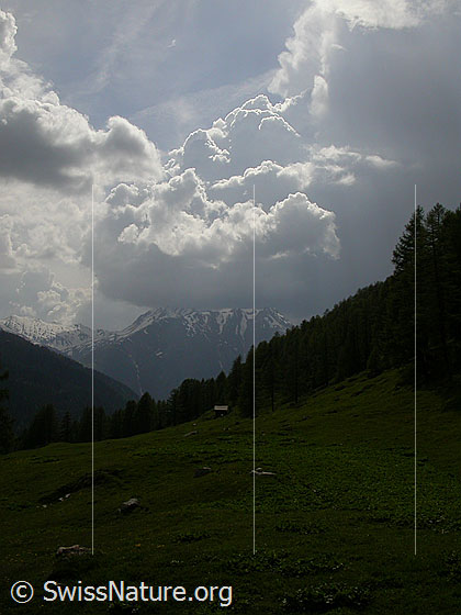 Foto: Gewitterstimmung über dem Breithorn.