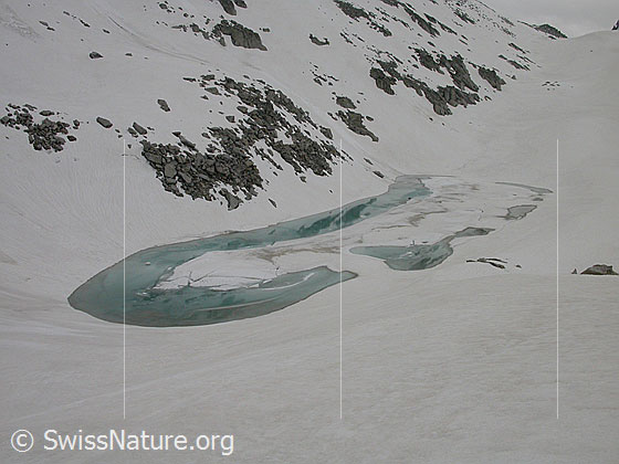 Foto: Schwarzsee, von Schnee umgeben und zum grossen Teil mit Schnee/Eis bedeckt.