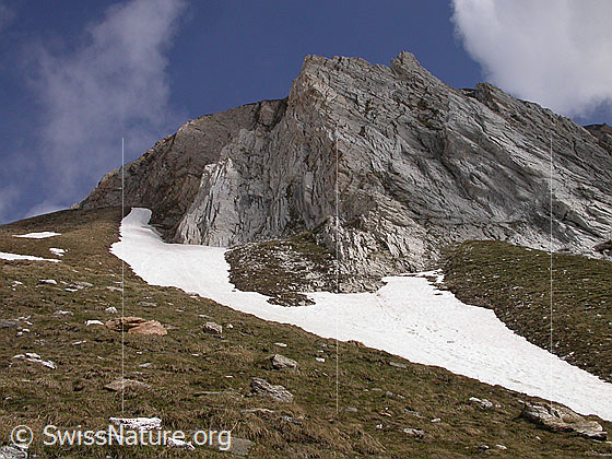 Foto: Dolomit-Felswand am 1. Turbechepf von SW