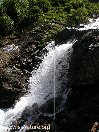 Foto: Kleiner Wasserfall im Mischibach