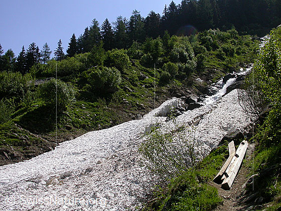 Foto: So sah der Wanderer die morsche Schneebrücke über den Mischibach.