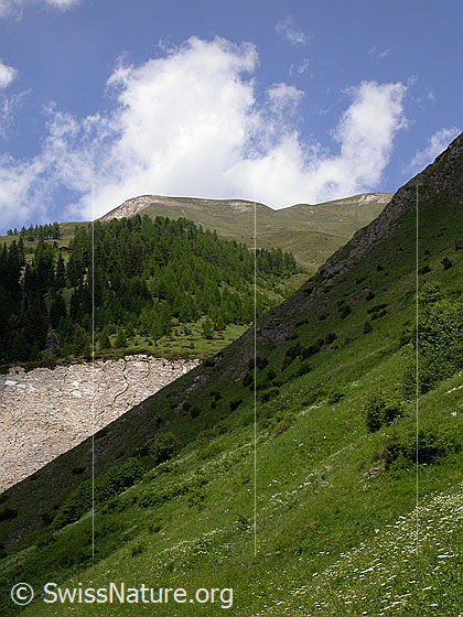 Foto: Klein Fülhorn von Imfeld aus.
