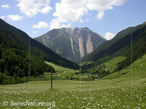 Foto: Blick von Imfeld über das Binntal zum Breithorn