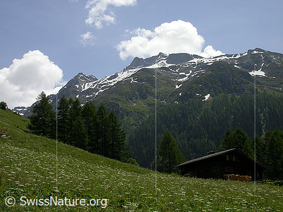 Foto: Schinhörner mit oberstem Haus von Imfeld.