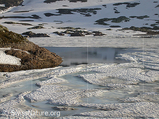 Foto: Grimselpass: Mit Eis bedeckter Totesee. Ausschnitt.