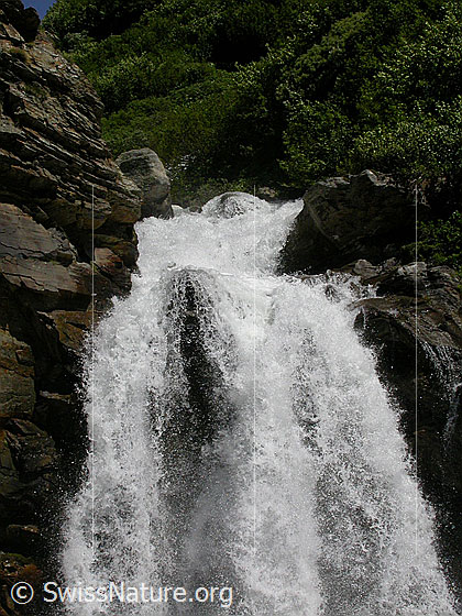 Foto: Ausschnitt Wasserfall bei Chiestafel.