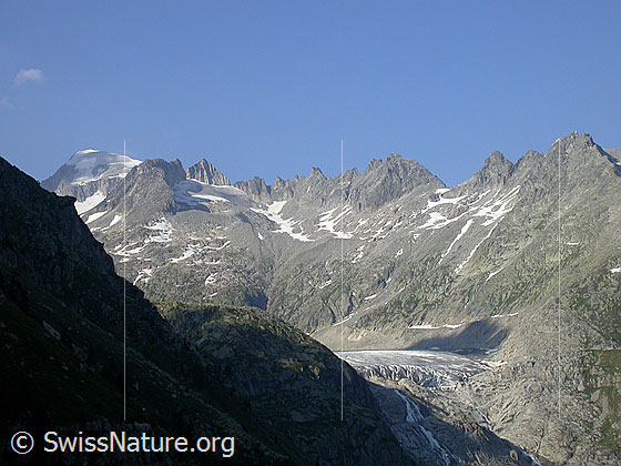 Foto: Rhonegletscher von WSW 
Im Hintergrund: Galenstock, Sidelenhorn, Gr. Furkahorn und Kl. Furkahorn