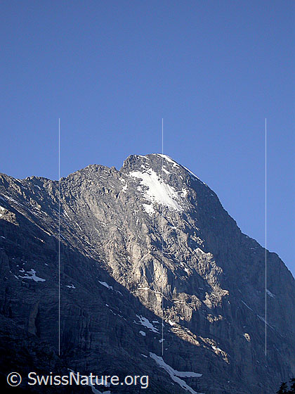 Foto: Gipfel des Eiger mit Mond von NNE (Grindelwald)
Gut zu sehen ist der Mittellegigrat und die NNE-Wand mit dem Lauper-Eisfeld.