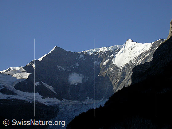 Foto: Ochs und Gross Fiescherhorn von N (Grindelwald). Davor die Fiescherwand.