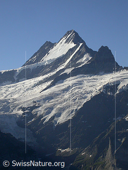 Foto: Lauteraarhorn, Schreckhorn und kleines Schreckhorn von NNW (First)