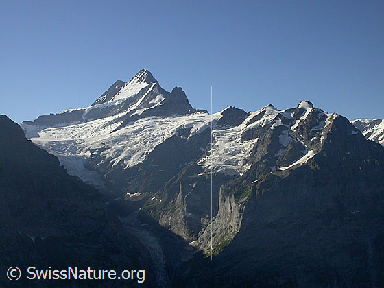 Foto: Oberer Grindelwaldgletscher, Lauteraarhorn, Schreckhorn, kleines Schreckhorn, Gwächta, Ankenbälli und Mättenberg von NNW (First)