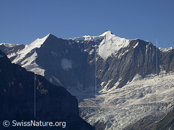 Foto: Ochs und Gross Fiescherhorn von  N (First). Davor die Fiescherwand.