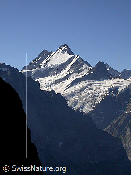 Foto: Lauteraarhorn, Schreckhorn und kleines Schreckhorn von NNW (Aufstieg Schwarzhorn)
