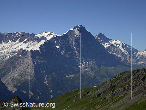 Foto: Trugberg, Eiger und Jungfrau von NNE (Aufstieg Schwarzhorn)