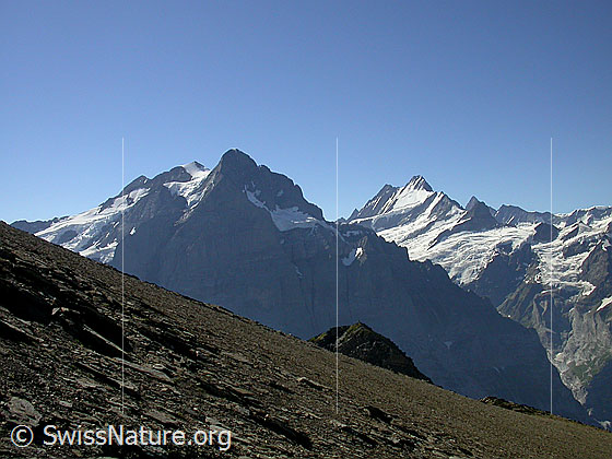 Foto: Rosenhorn, Mittelhorn, Wetterhorn, Lauteraarhorn, Schreckhorn und Finsteraarhorn von NW (Aufstieg Schwarzhorn)