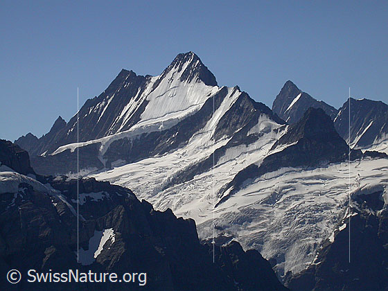 Foto: Lauteraarhorn, Schreckhorn und Finsteraarhorn von NW (Aufstieg Schwarzhorn)