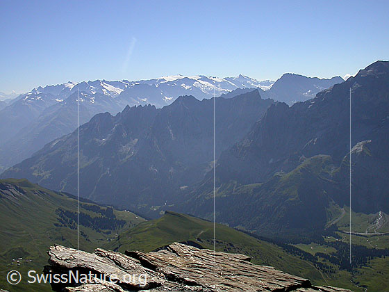 Foto: Im Aufstieg zum Schwarzhorn: Blick Richtung E (Rosenlaui, Engelhörner und Dammastockgebiet)