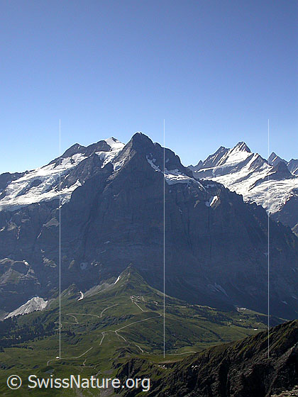 Foto: Rosenhorn, Mittelhorn, Wetterhorn, Lauteraarhorn und Schreckhorn von N (Gipfel Schwarzhorn)
Unter dem Wetterhorn: Die Grosse Scheidegg.