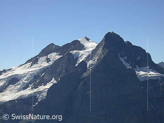 Foto: Rosenhorn, Mittelhorn und Wetterhorn von N (Gipfel Schwarzhorn)